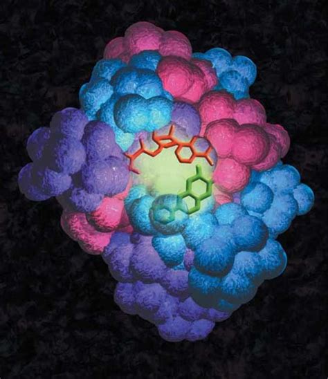 Protein Expression Guide I An Introduction to Protein Expression ...