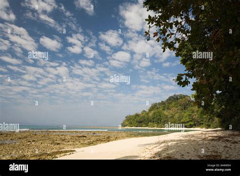 India Andaman and Nicobar Havelock Island Radha Nagar lagoon beach in ...