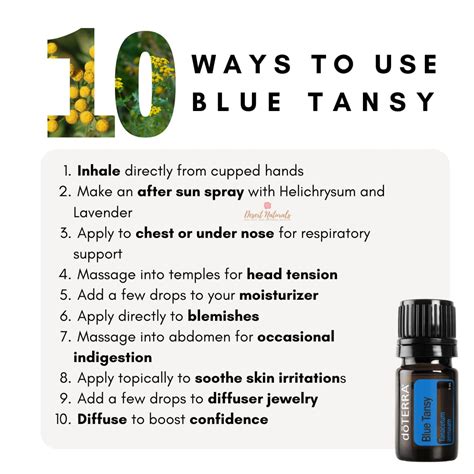 DoTERRA Blue Tansy Essential Oil 5ml