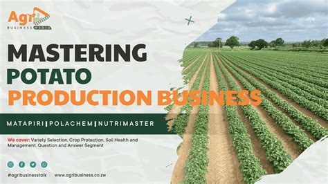 Potato Farming Masterclass: Techniques, Variety, Soil Health and Crop Protection Strategies ...