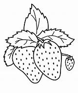 Berries coloring pages To Download And Print For Free sketch template