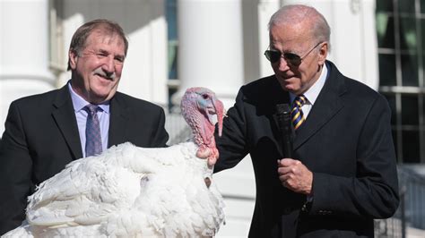 2022's Pardoned Turkeys Have The Cutest Foodie Names