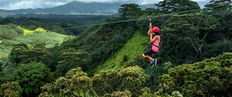 Zipline Tours near Kauai's Royal Coconut Coast