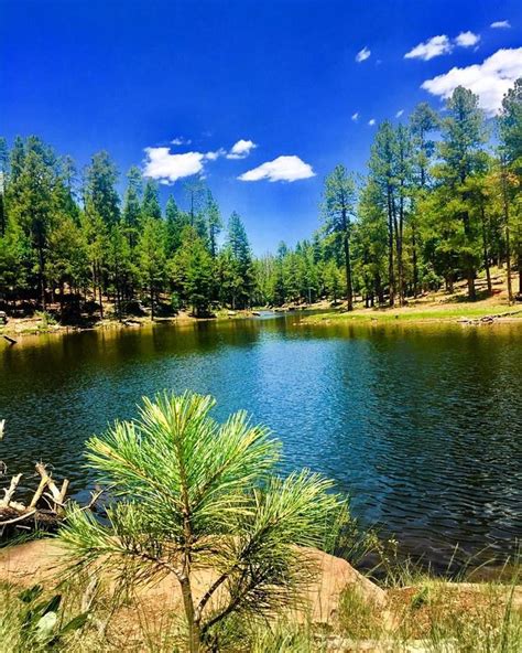 Woods Canyon lake in Arizona | Arizona lakes, Canyon lake, Amazing ...