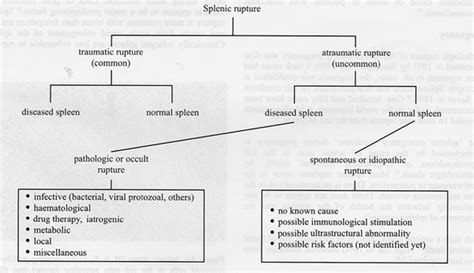 Ruptured Spleen Symptoms