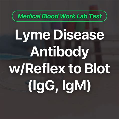 Lyme Disease Antibody w/Reflex to Blot (IgG, IgM) Blood Work Test - Wittmer Rejuvenation Clinic