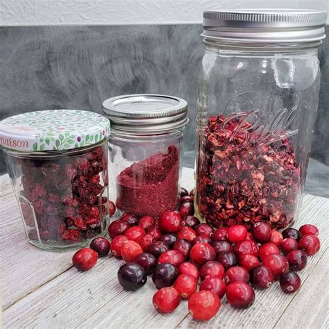 How to Dehydrate Cranberries and DIY Craisins | Dehydrator, Dehydrator recipes, Craisins