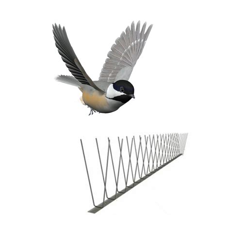 GKSS-3: Pigeon scarer devices stainless steel bird control spikes - Bird Spike Control