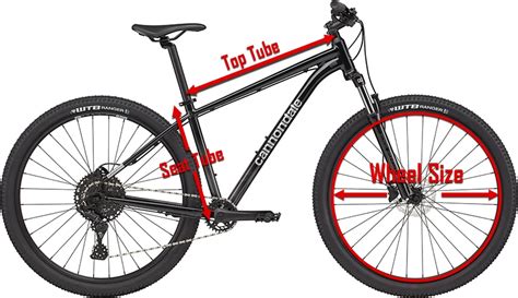 Mountain Bike Size Chart & Calculator: Find Your Size in Seconds!