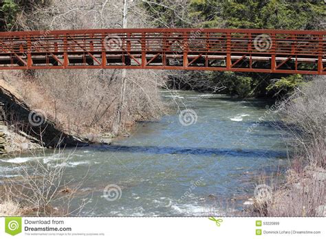 South Branch Tunkhannock Creek Stock Image - Image of creek, brush ...