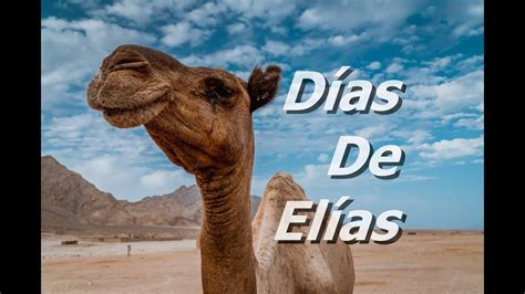 Días De Elías, Español (Days of Elijah) - Karaoke Saxofón Alto Instrumental Robin Mark JEM 895 ...