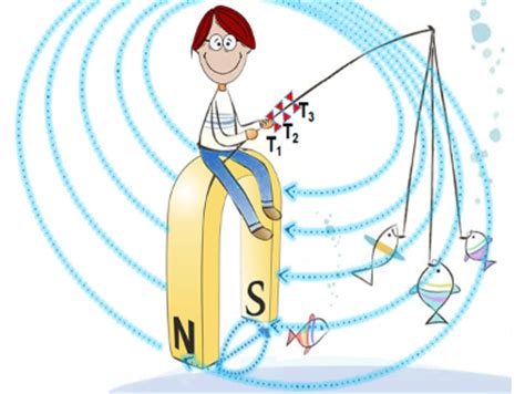 From Magnetic Code to Analyte Detection - ChemistryViews