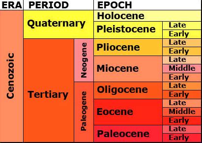 Neogene Overview & Characteristics | What is the Neogene Period? | Study.com