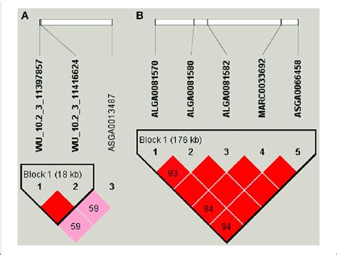 | Haplotype blocks for significant SNPs. (A) Indicate a haplotype block... | Download Scientific ...