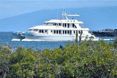 The best cruise categories in the Galapagos Islands