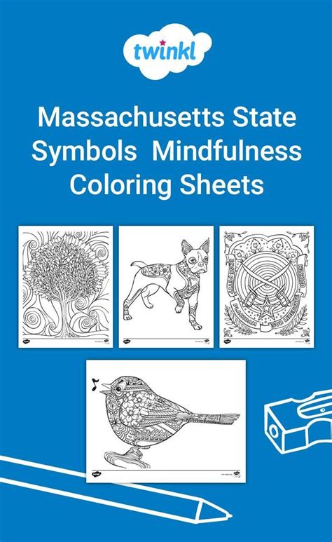 Social Studies Printables! Massachusetts State Symbols Mindfulness Coloring Sheets | State ...