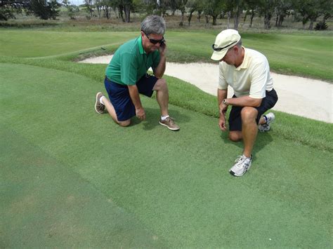 Zoysia Grass Mowing Tips from Your Highland Village Lawn Care Provider