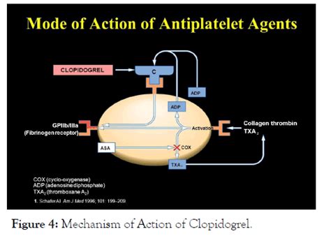 Comparative Quality Evaluation of Different Brands of Clopidogrel ...