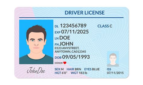 Drivers License Template