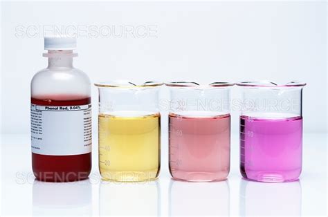 Phenol red indicator | Stock Image - Science Source Images