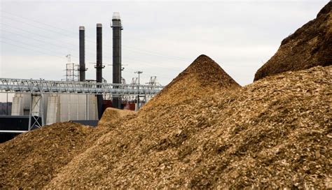 Japan Renewable Energy commissions 24.4-MW biomass plant in Ibaraki ...