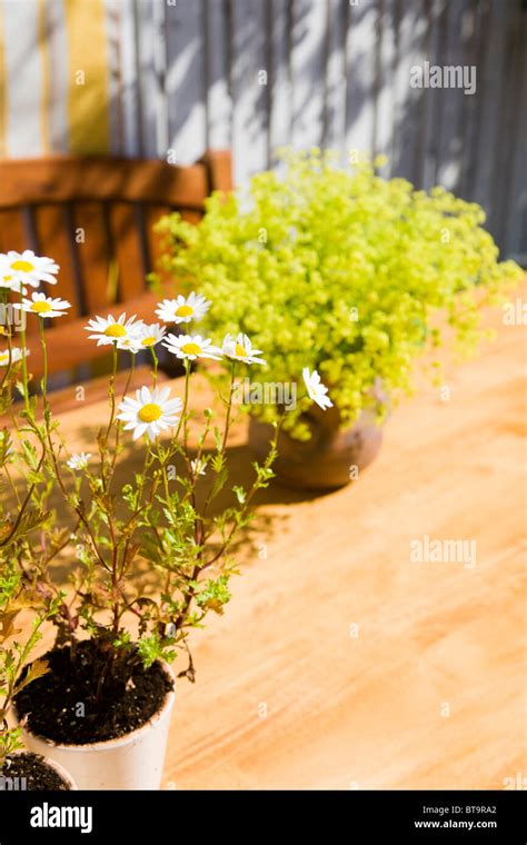 Verandah hi-res stock photography and images - Alamy