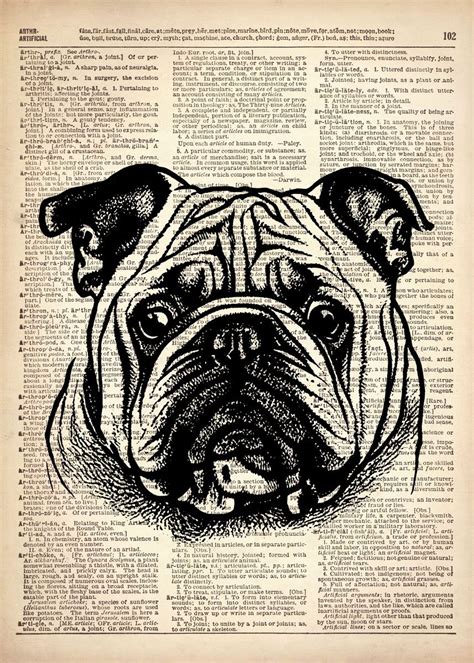 'Bulldog line drawing ' Poster by Art popop | Displate