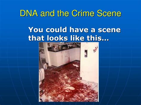 Dna Evidence Crime Scene