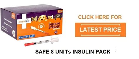 Is 8 Units of Insulin a lot for a Dog? - Jolly Doggy