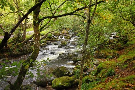 English Woodland River Stock Photography - Image: 16201822