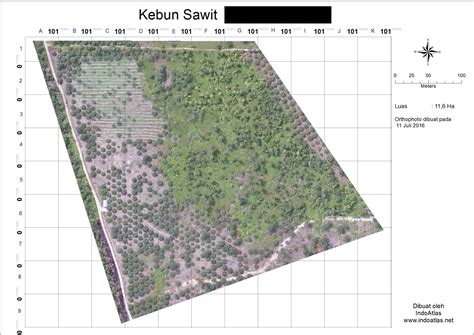 Topografi Dan Foto Udara Kebun Kelapa Sawit Peta Indonesia | sexiezpix ...