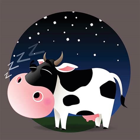 530+ Cow Sleeping Stock Illustrations, Royalty-Free Vector Graphics ...