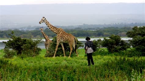 Crescent Island Game Sanctuary | Lake Naivasha | Kenya Wildlife Safari