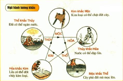 Giải mã ngũ hành tương sinh, tương khắc trong phong thủy [Từ A - Z] - MOBO