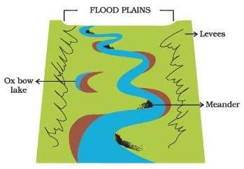 What are the features made by a river in a flood plain? Explain with the help of a diagram ...