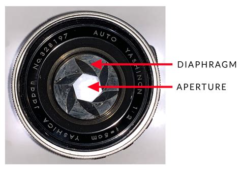 What is Aperture in Photography? Key Concepts Explained