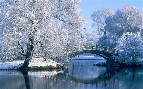 Winter Backgrounds Wallpapers - Wallpaper Cave