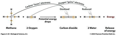 Oxidation Reaction