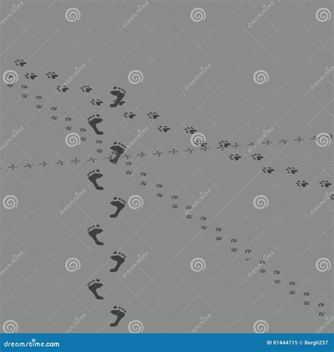 Wet footprints on concrete stock illustration. Illustration of wild - 81444715