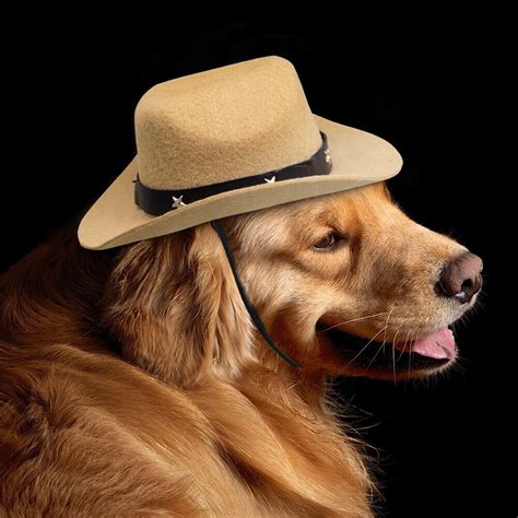 Cowboy Costume Hat for Dogs Holiday Party Show Cap Accessory Outfit Black Beige | eBay