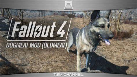 Fallout 4 Dogmeat And Another Companion Mod - coverspulse