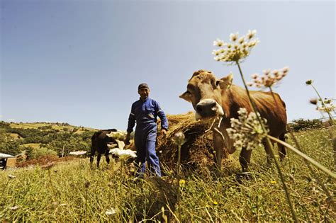 A Day Out to See How Sustainable Animal Farming Works - Slow Food