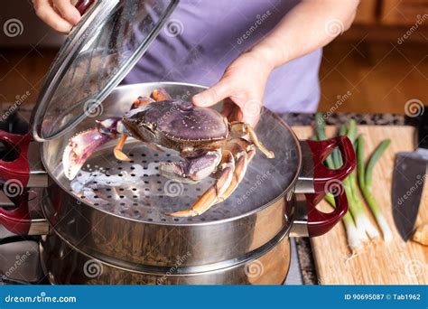 Steaming fresh live Crab stock image. Image of seafood - 90695087