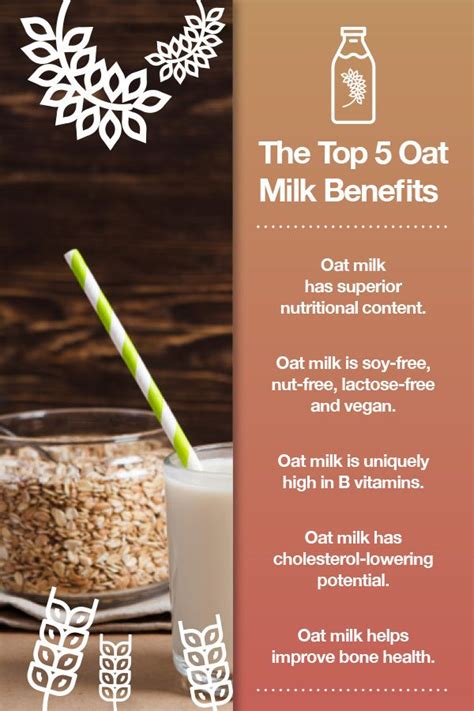 The Top 5 Oat Milk Benefits - VeggieShake | Milk benefits, Oat milk ...