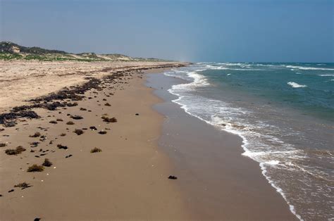 Padre Island National Seashore | Things To Do in Port A