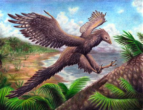 Archaeopteryx – Emily Willoughby Art