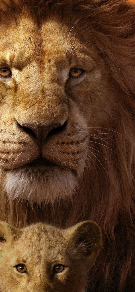 The Lion King 2019 Mufasa Simba 8k Lion King 2019 ... iPhone Wallpapers Free Download