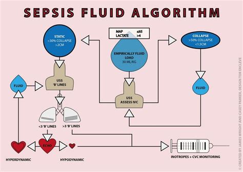 Sepsis Fluid Algorithm | Education | Pinterest | Sepsis, Nurse stuff ...