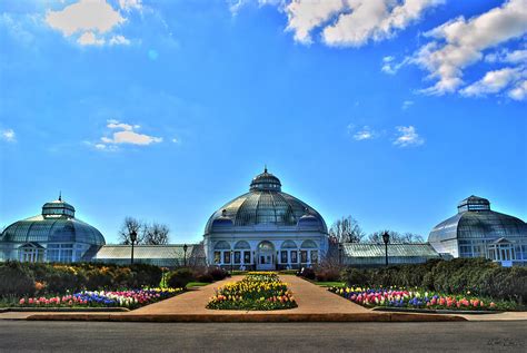 0040 Botanical Gardens Buffalo NY Series Gardens Photograph by Michael Frank Jr