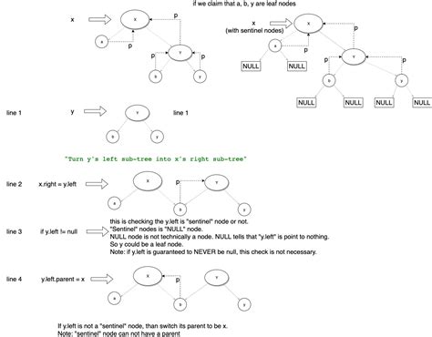 algorithm - Red-black Tree Rotation: When I have y = x.right; x.right = y.left. Is it the same ...